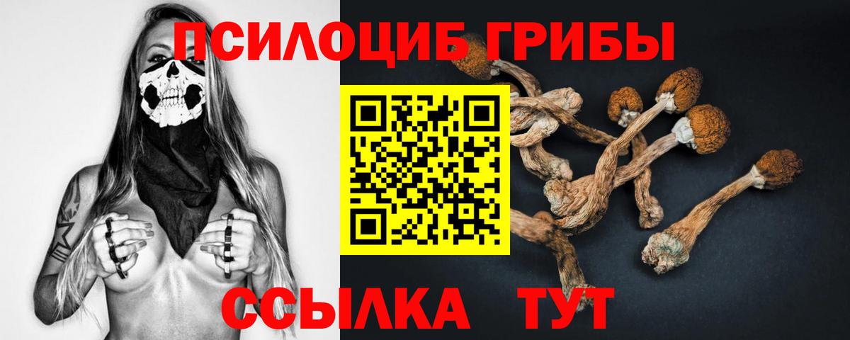 Галлюциногенные грибы Psilocybine cubensis  Вход с VPN  Хабаровск 